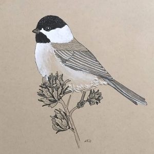 Meet your Posher, River